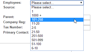 Employee Sizes shown on an Account record