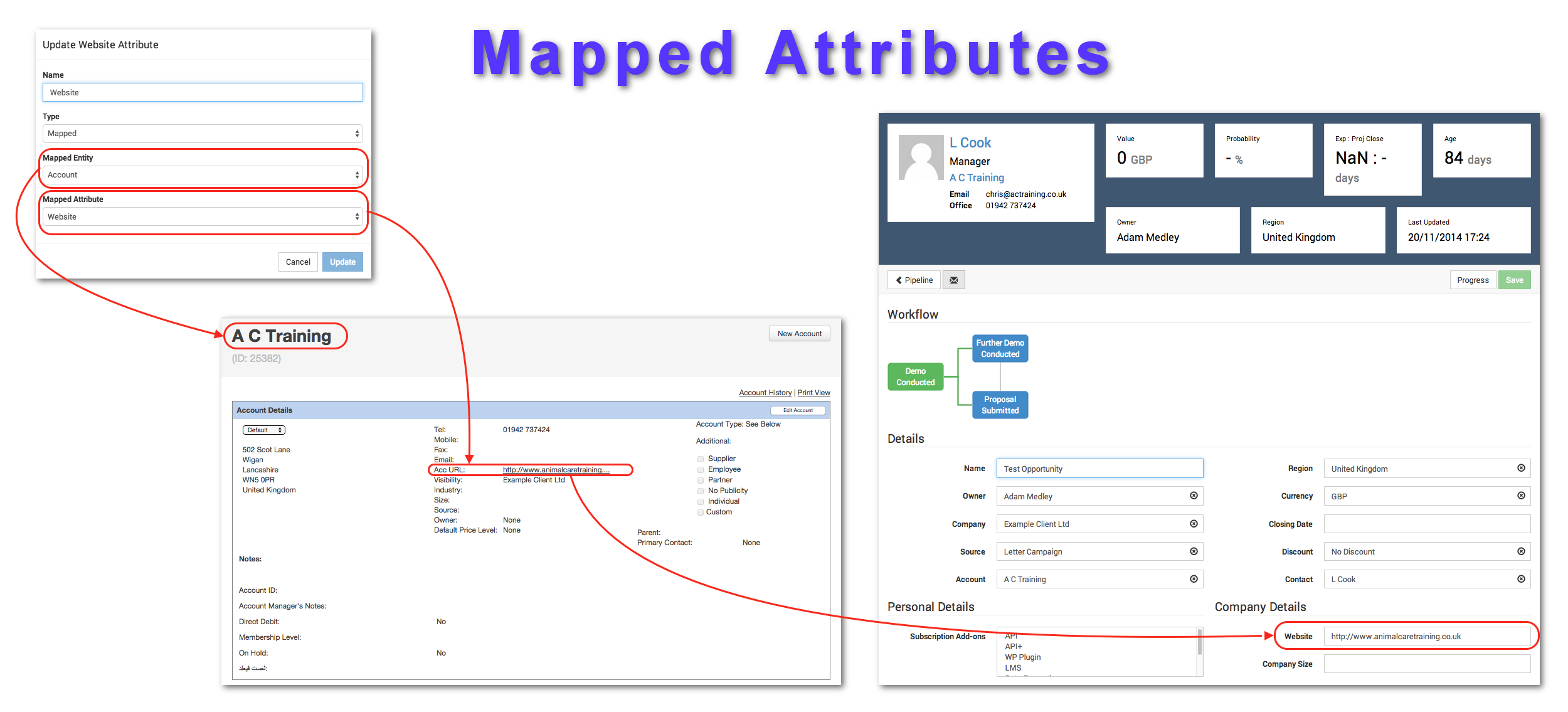 How Mapped Attributes work in the Opportunities System
