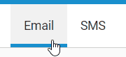 Switch between Email and SMS using the tabs