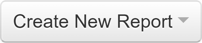 Create New Report Button
