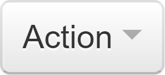 Action Button